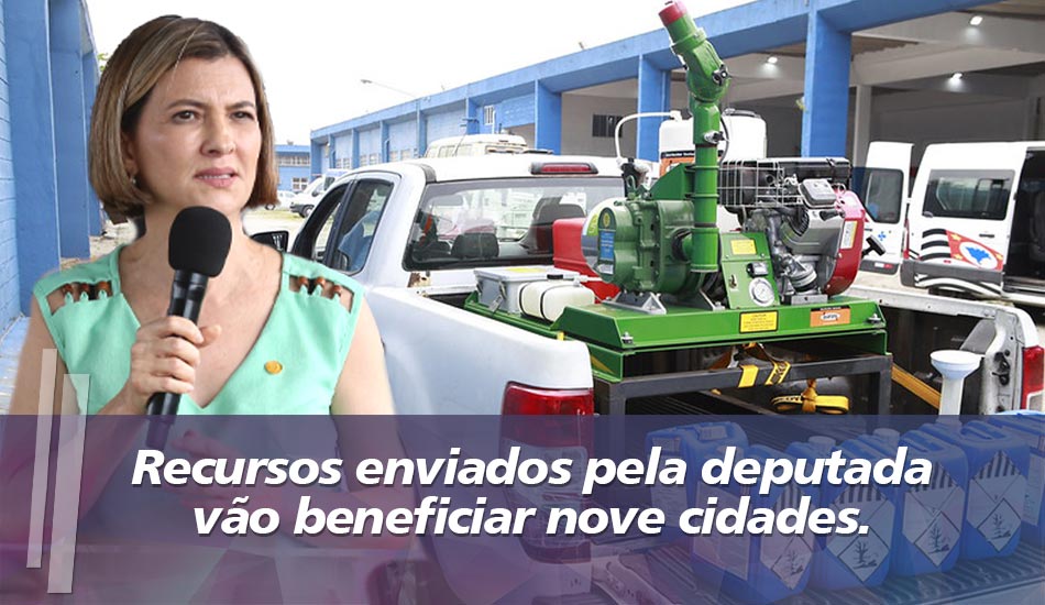 Deputada Graciela envia R$ 1,1 milhão para prefeituras combater dengue